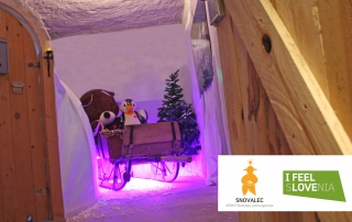 Escape Igloo Room