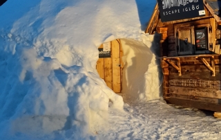 escape igloo room