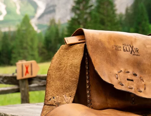 Escape into nature with the new game Mission Elixir in the Land of Kekec!